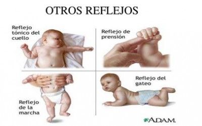 Reflejos Primarios y como nos afectan.