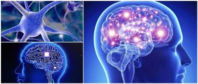 Lorenzo Arroyo Neurotransmisores Lorenzo Arroyo Neurotransmisores