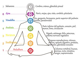 Lorenzo arroyo.-Chakras Lorenzo arroyo.-Chakras