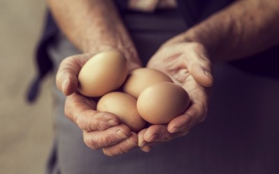 El vendedor de huevos