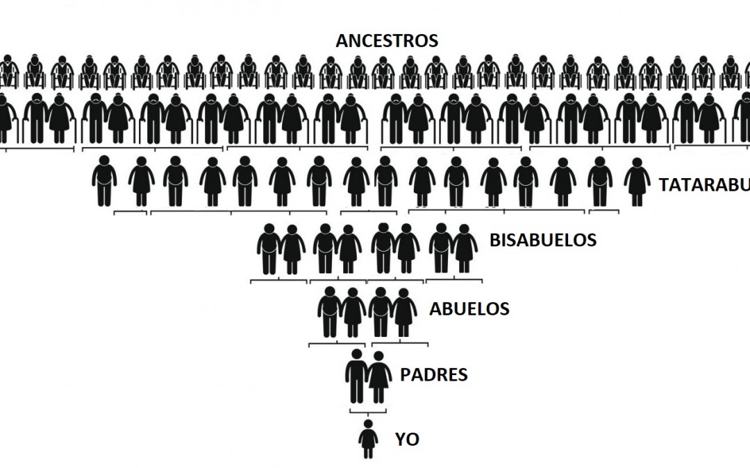 olvida