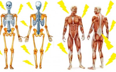 Taller de Osteopatía Tibetana y Energética