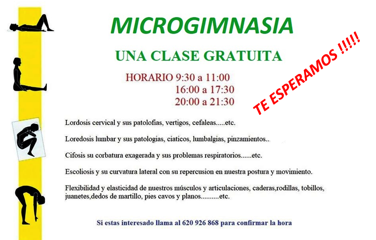 Microgimnasia