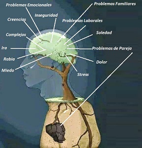 Lorenzo Arroyo Kinesiologia TFH